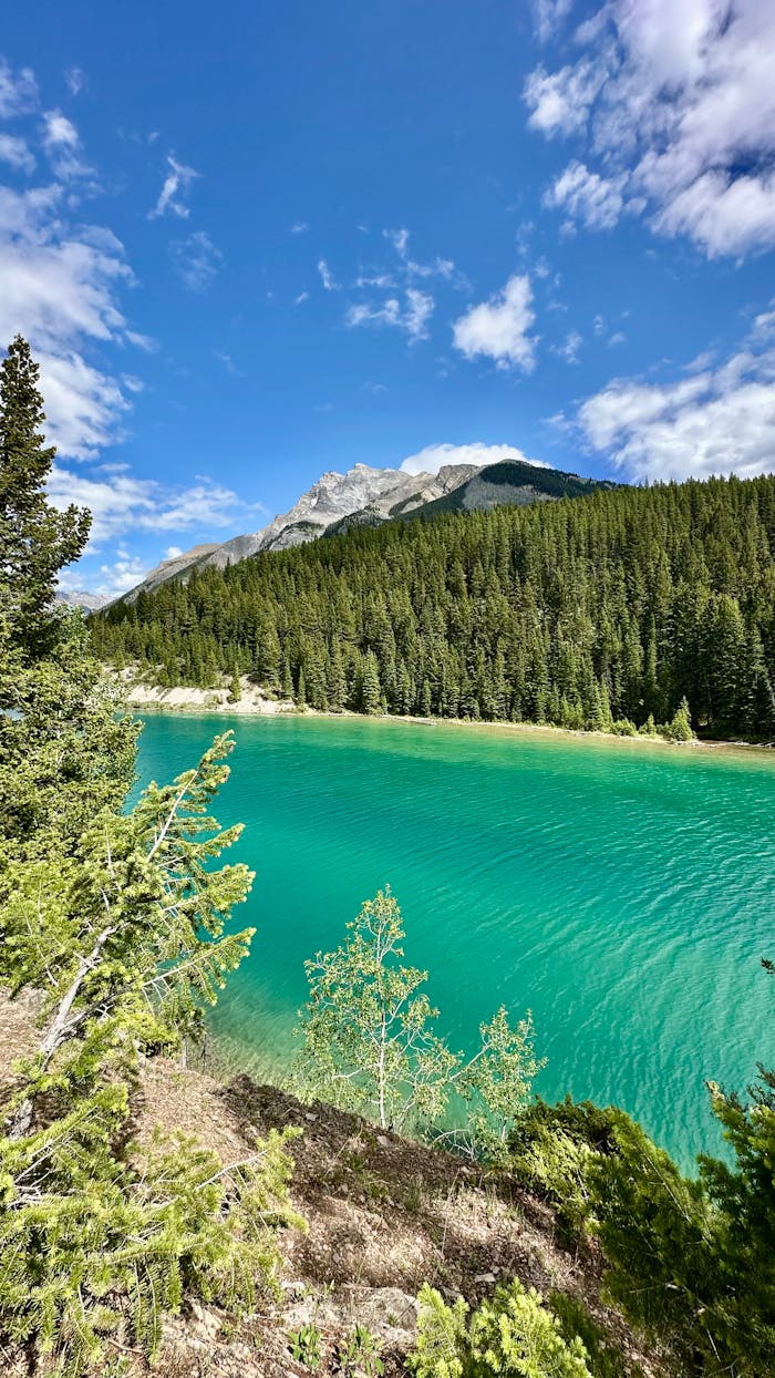 testimonial-img scenic-mountain-lake-and-forest-under-bright-sky-32586889
